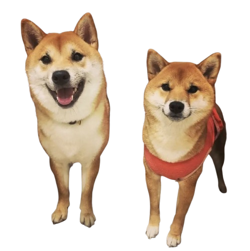 ํกํก๋์ฌ